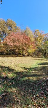 Residential Land in Established Neighborhood