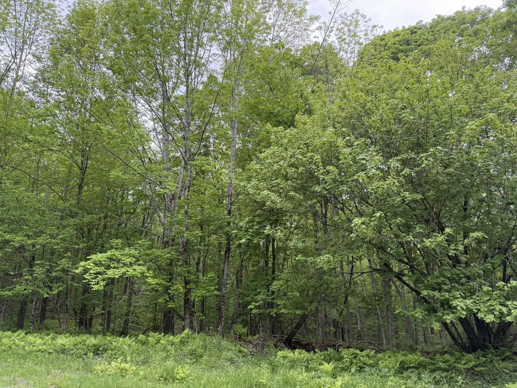 Picture 14