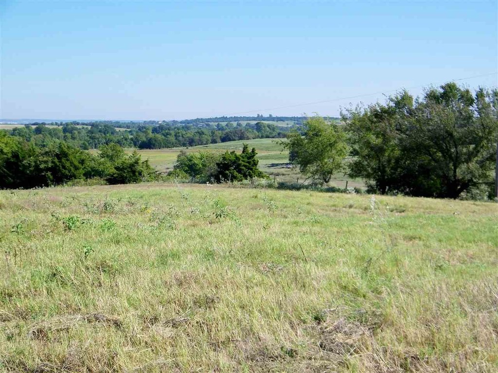 Picture 29