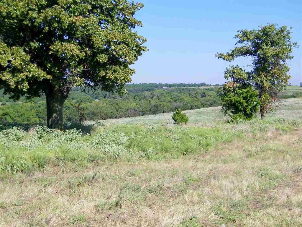 Picture 27