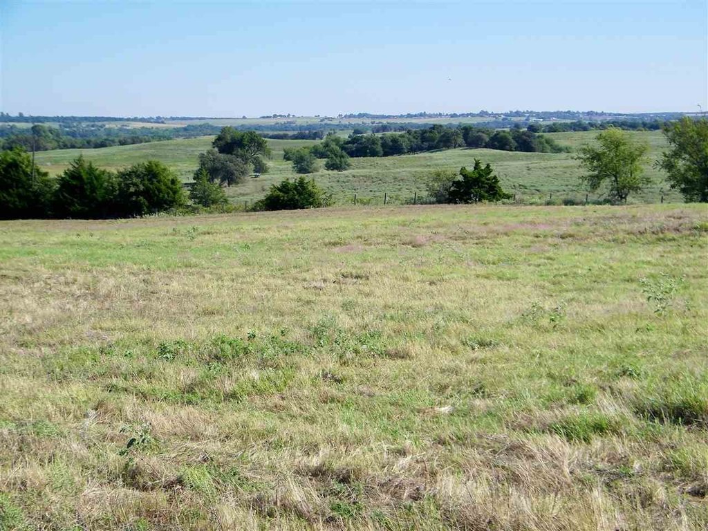 Picture 26