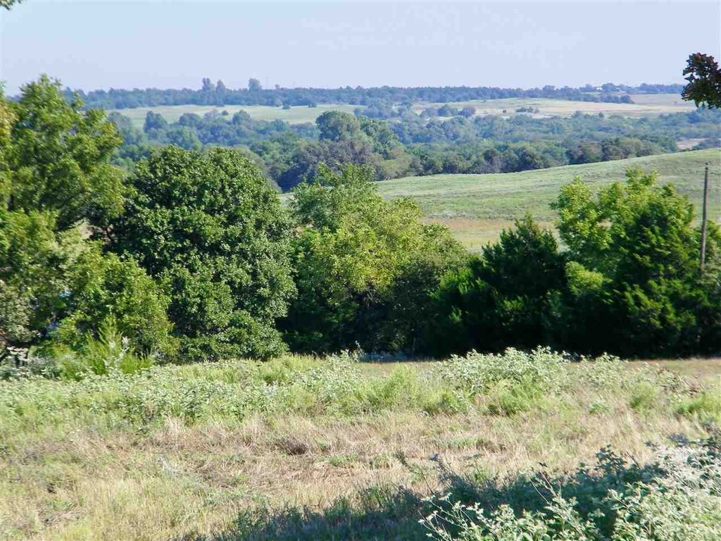 Picture 21
