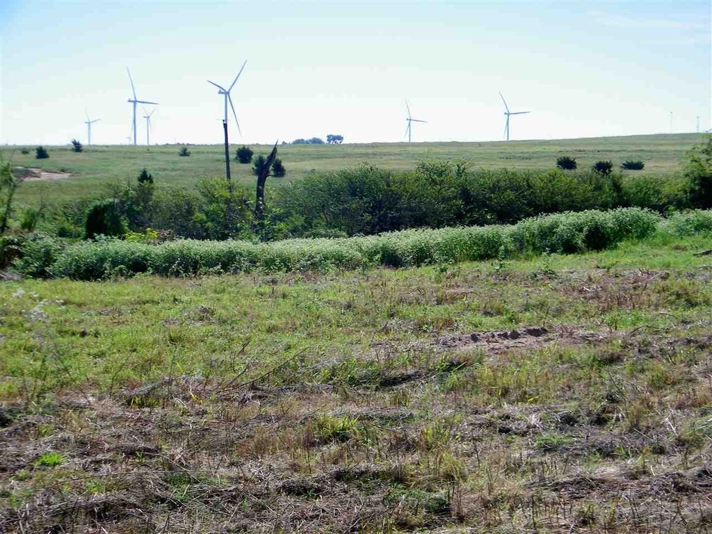 Picture 28
