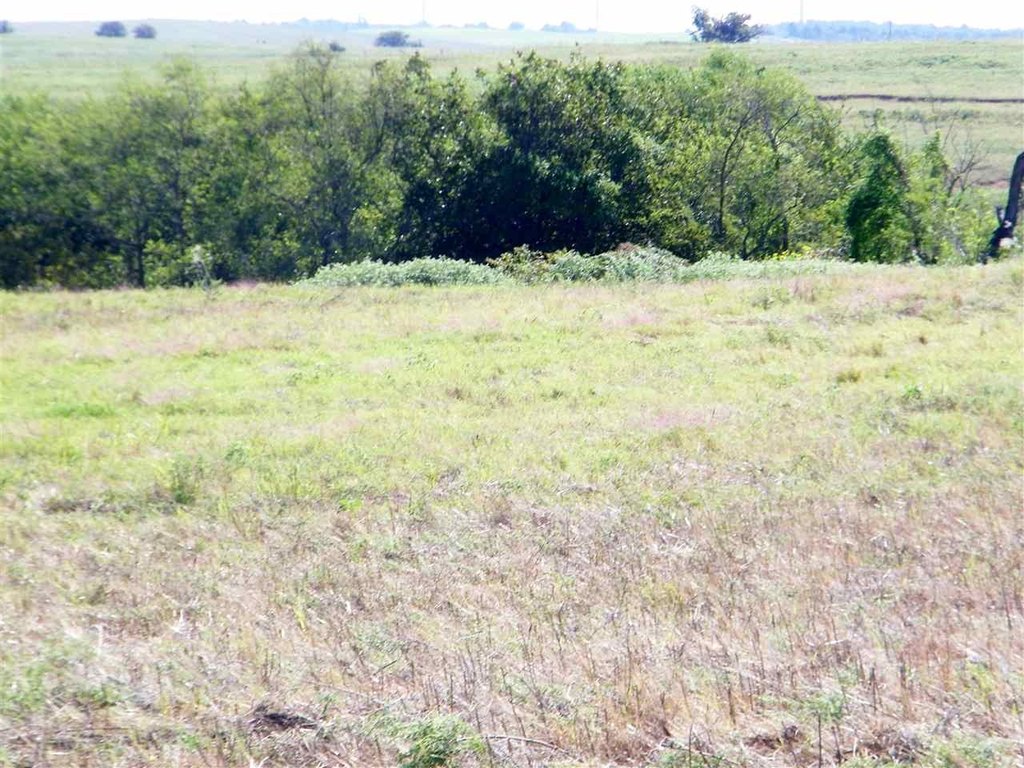 Picture 19