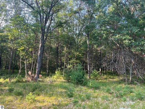 LAND - Au Sable, MI
