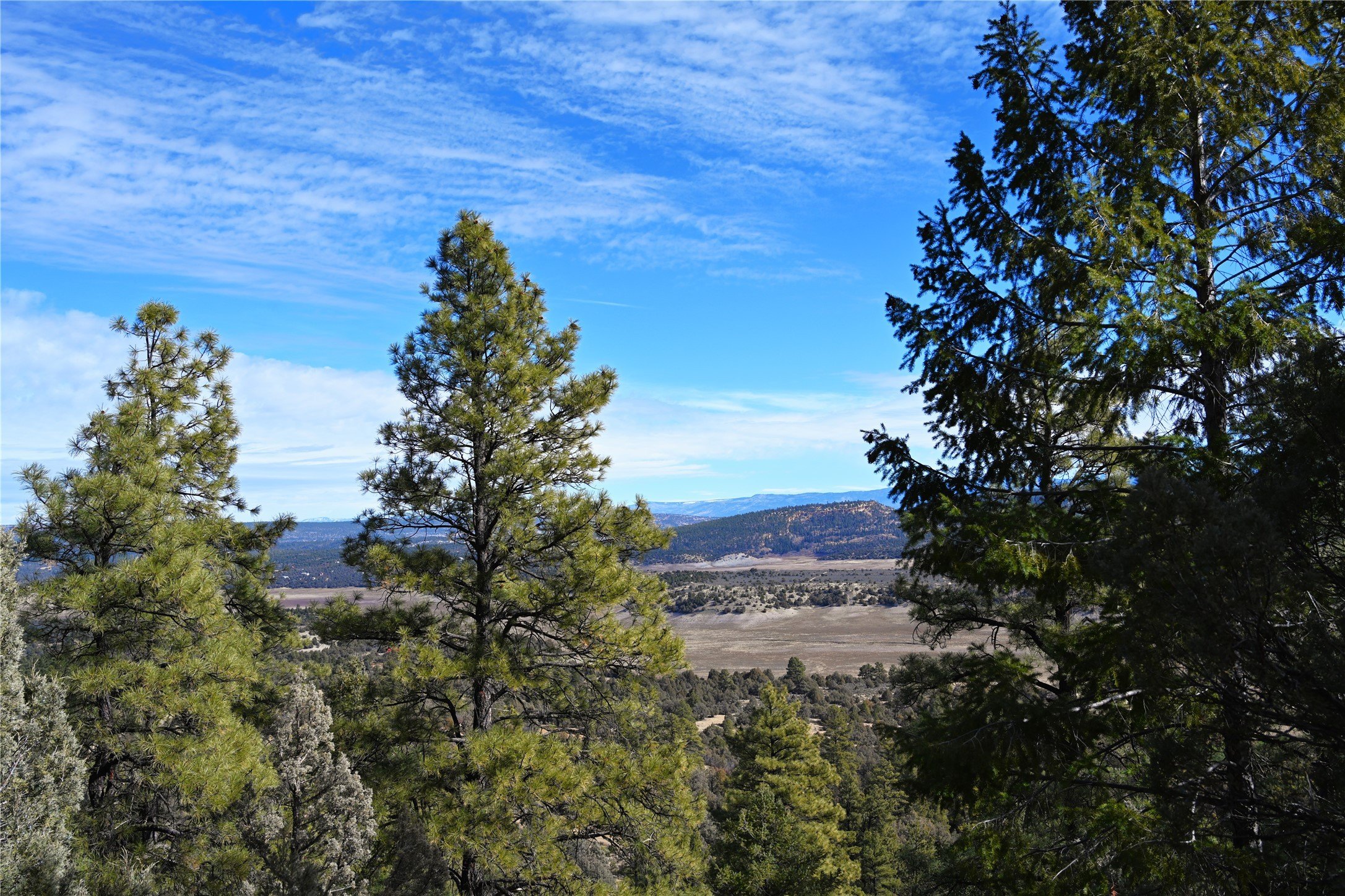Off-Grid Land Near State Park