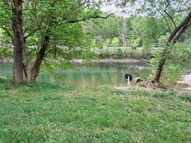 Picture 7