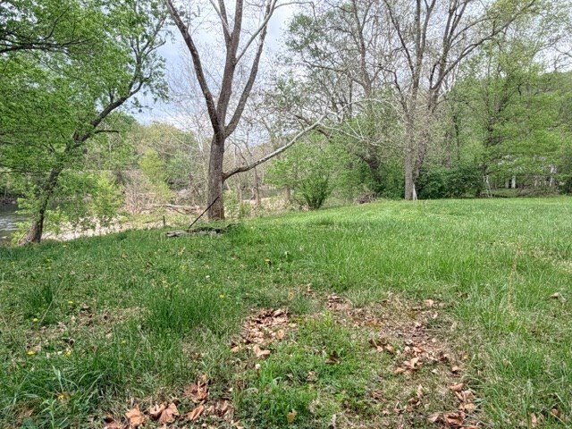 Picture 6