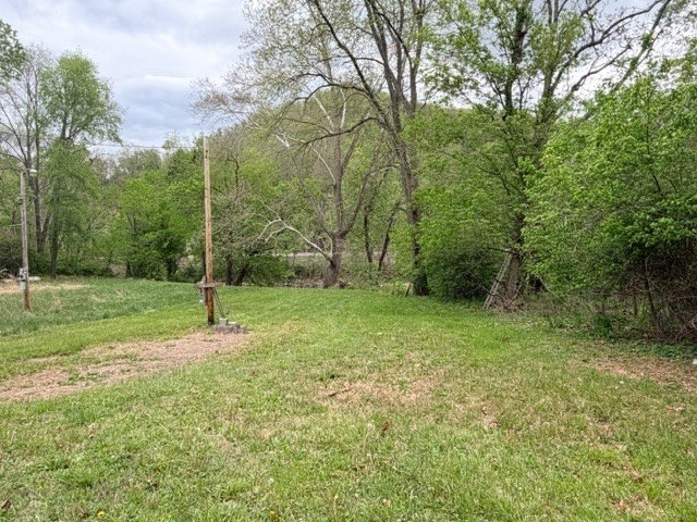Picture 2