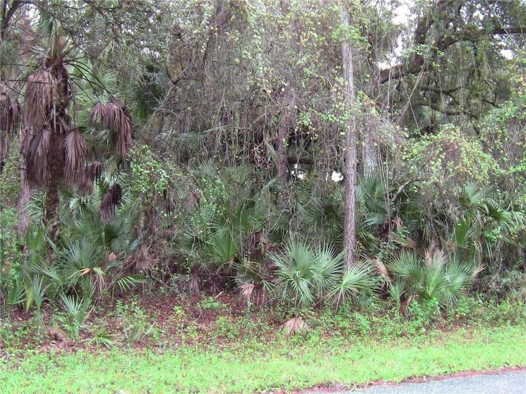 Picture 3
