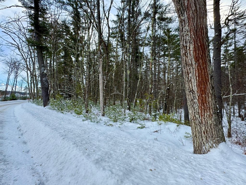 Picture 8