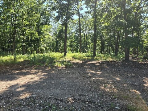 Residential Lot Near Beaver Lake