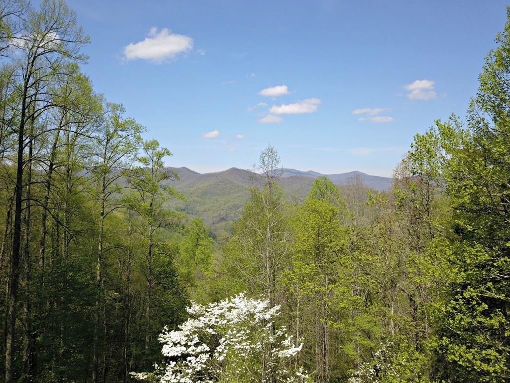 Secluded Mountain Land with Potential