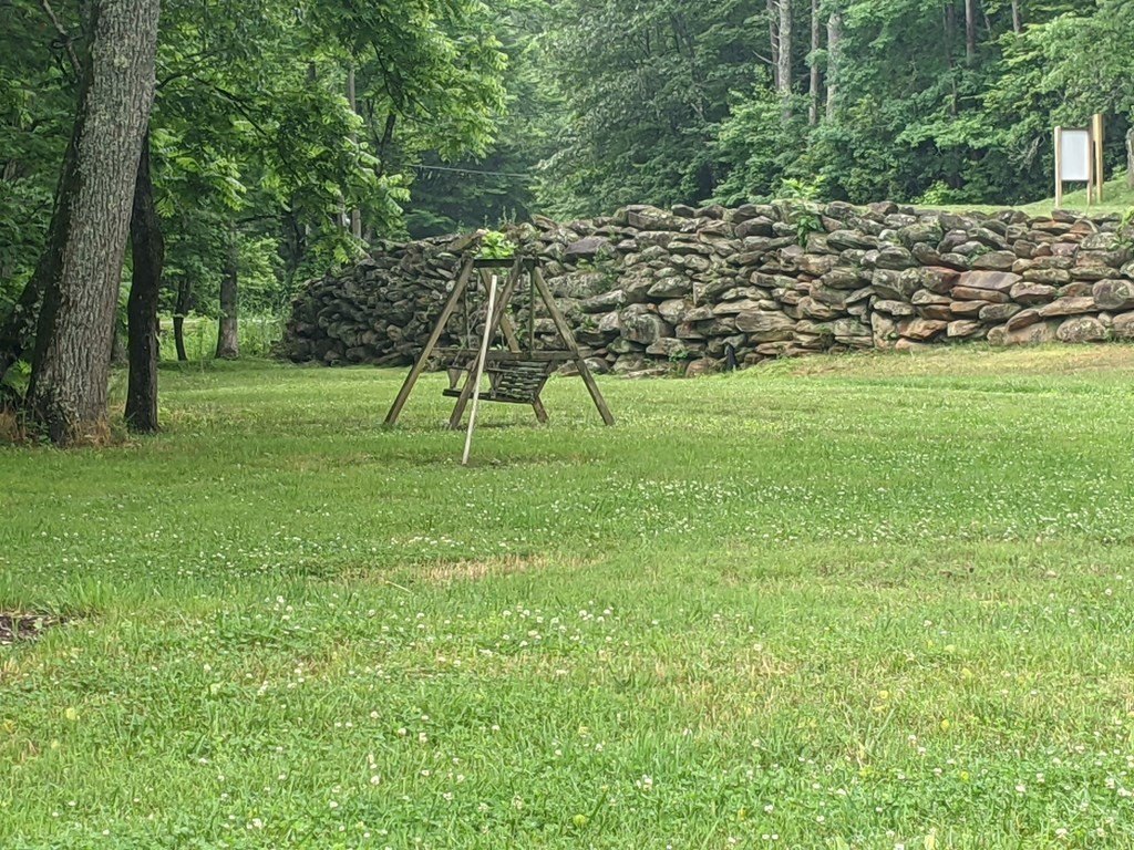 Picture 11