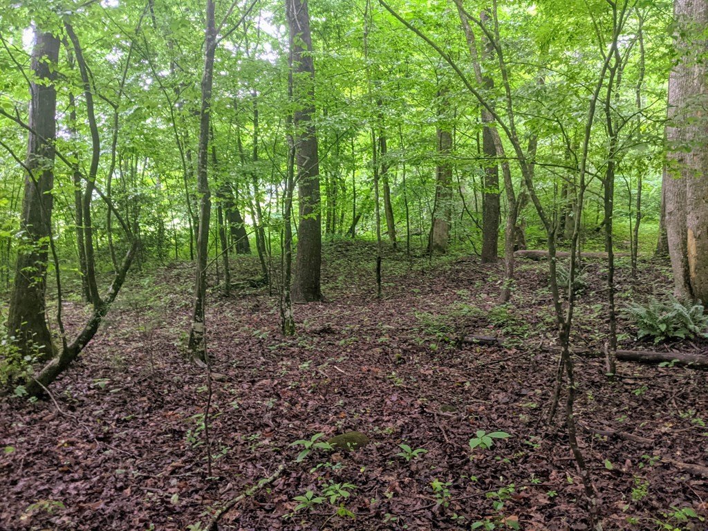 Picture 3