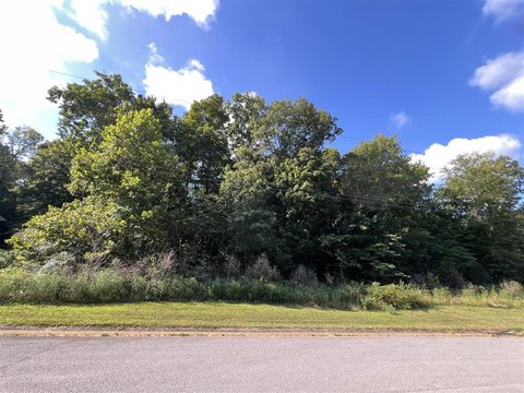 Wooded Acre Building Lot