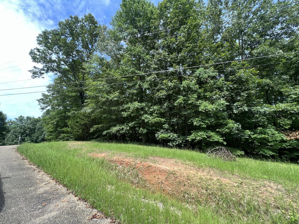 Picture 6