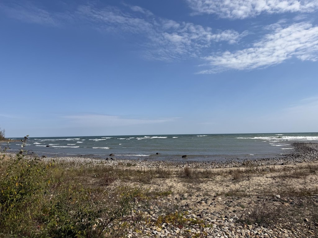 Picture 16