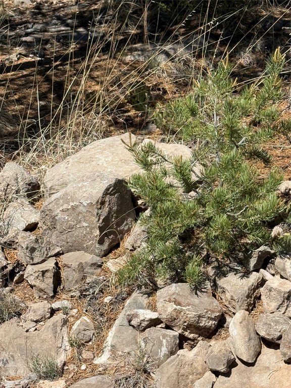 Picture 30