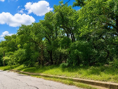 Heavily Wooded Lot in Mineral Wells