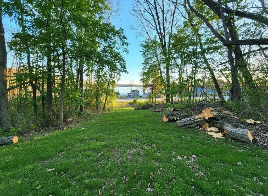 Picture 25