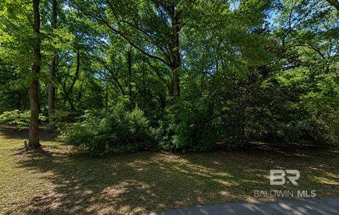 Spacious Lot in Norwood Subdivision