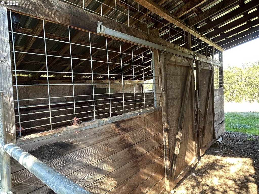 Picture 13