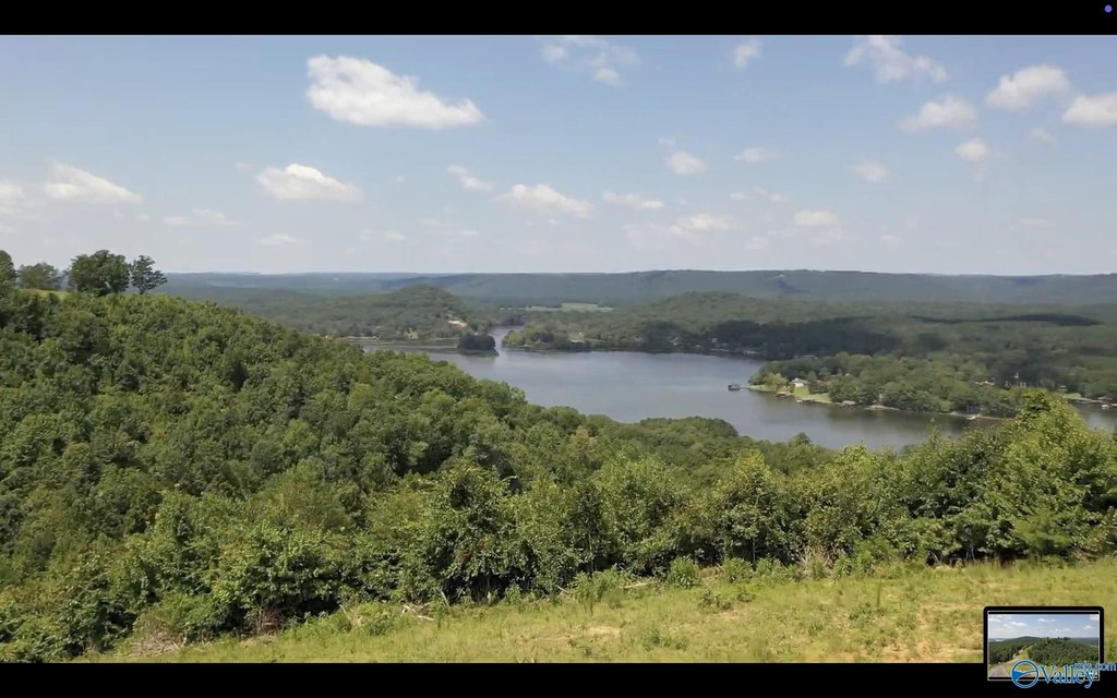 Picture 3