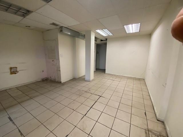 Picture 42