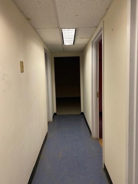 Picture 25