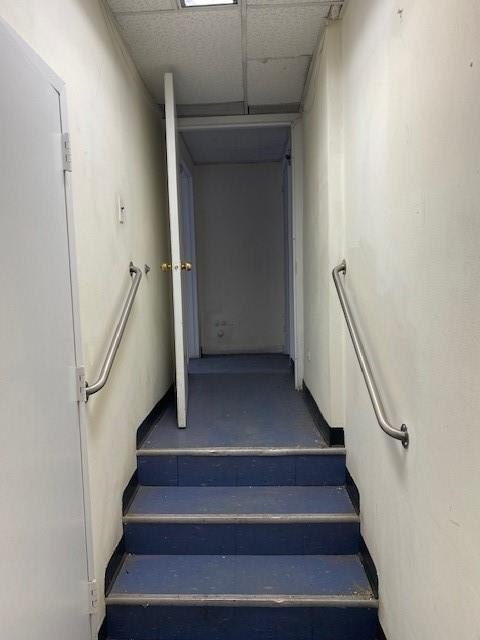 Picture 24