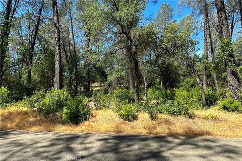 Redding Land in Silver King