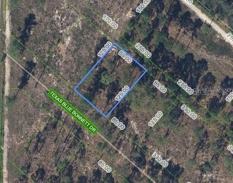 Residential Lot in Sebring, FL