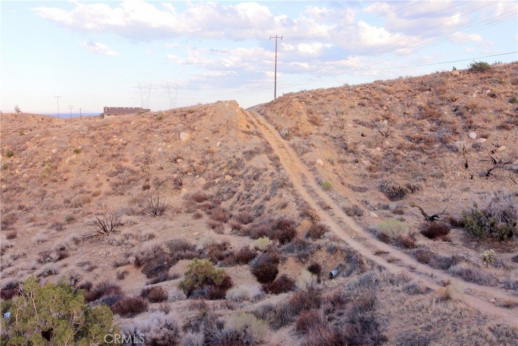 Picture 23