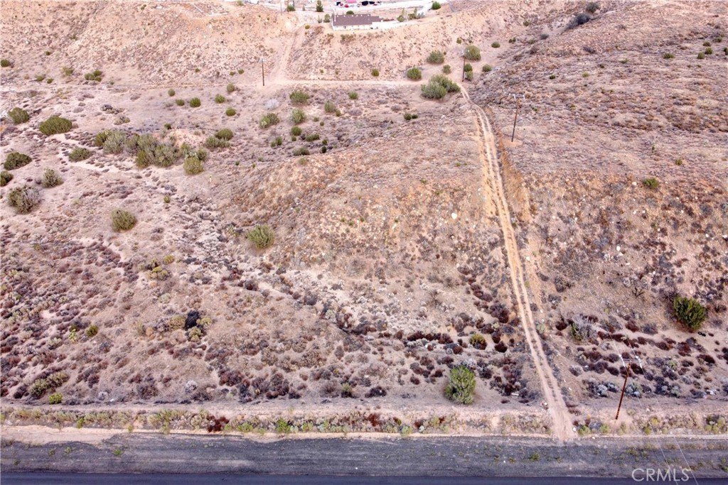 Picture 3