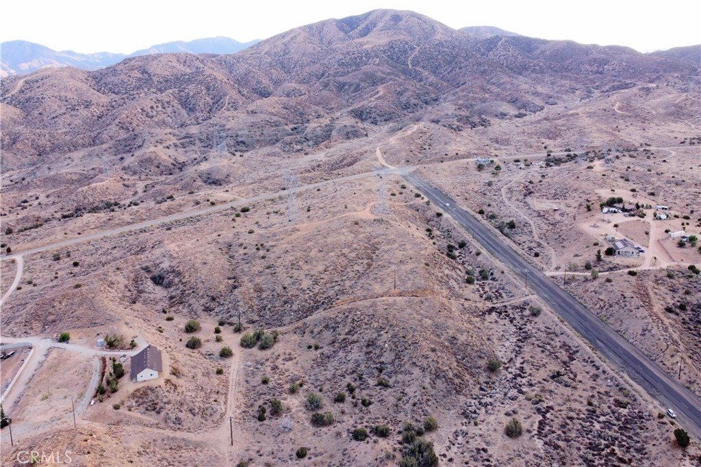 Picture 7
