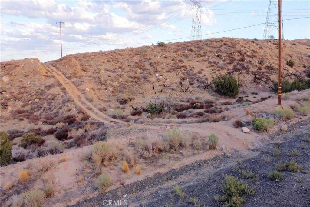 Picture 24
