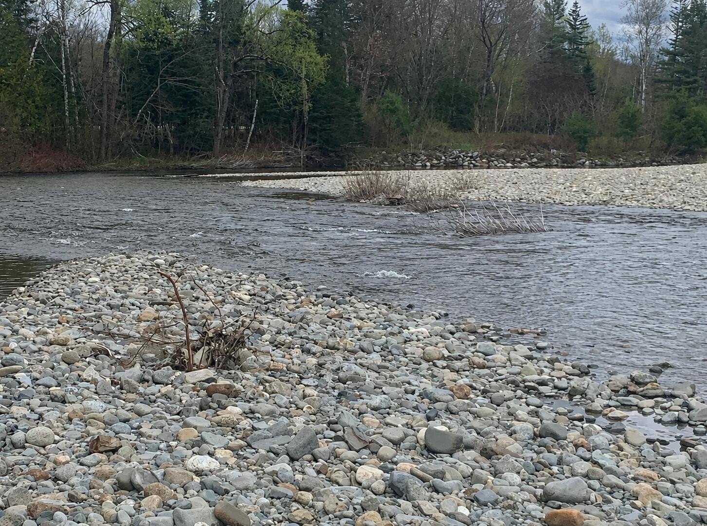 Maine Waterfront Land Opportunity