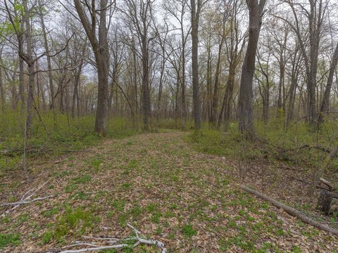 Residential Land Near Mille Lacs