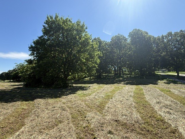 Picture 4