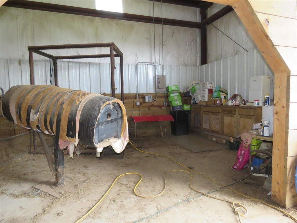 Picture 19