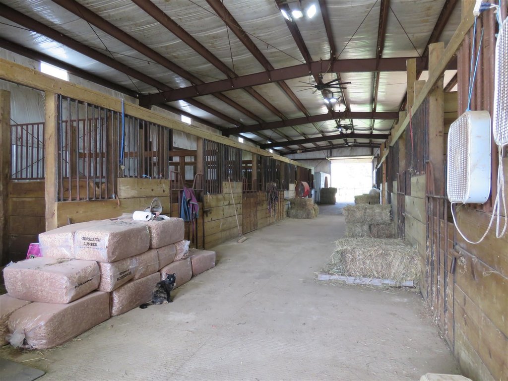 Picture 12