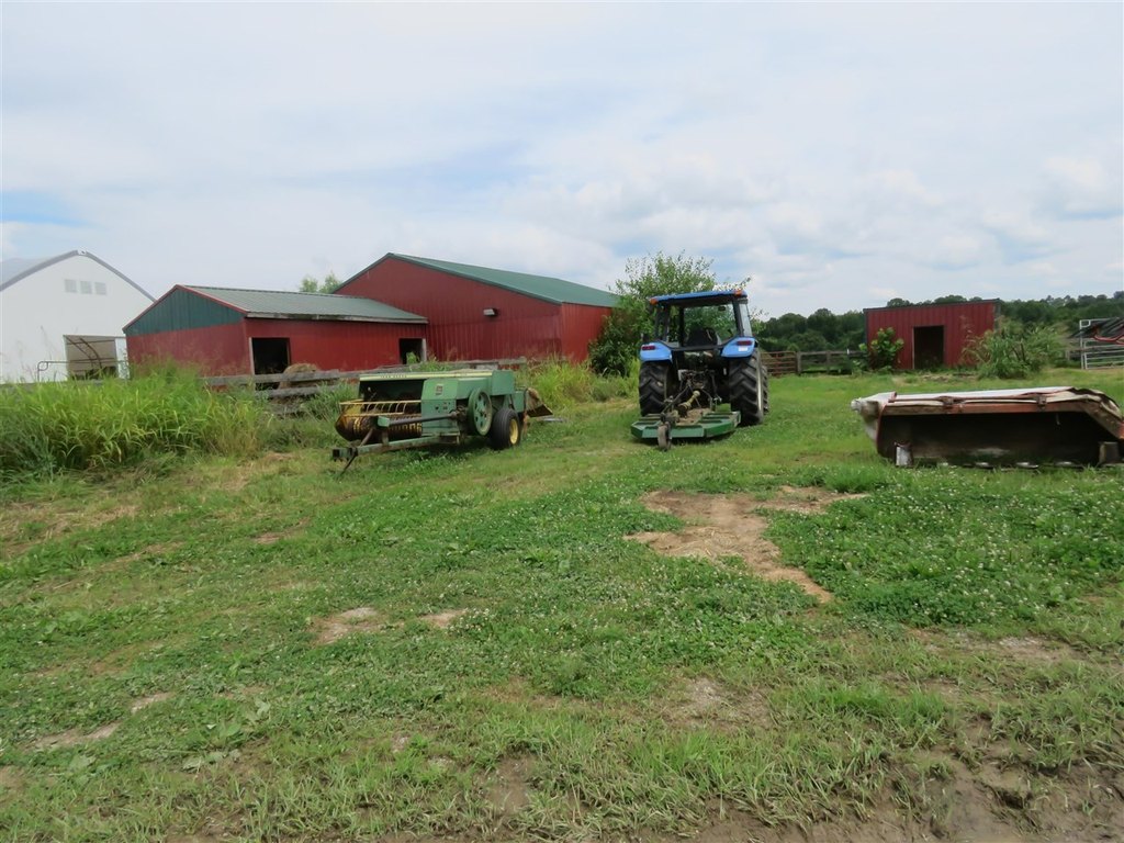 Picture 28