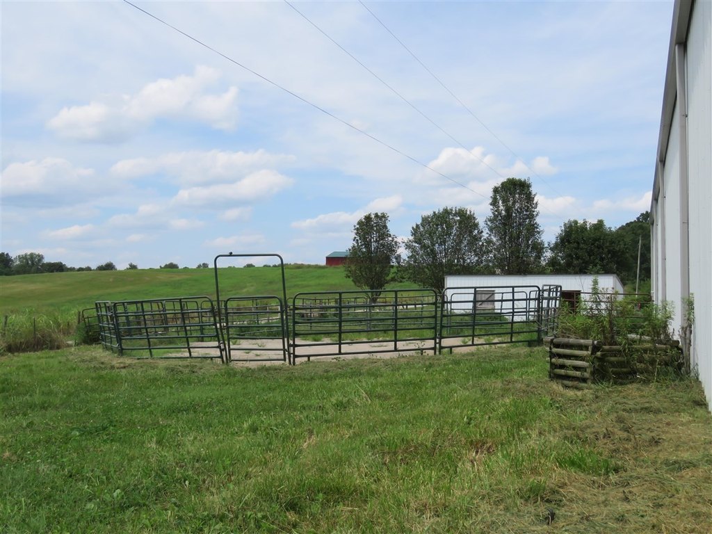 Picture 41