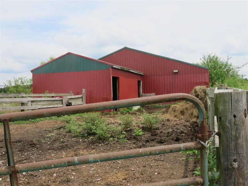 Picture 27