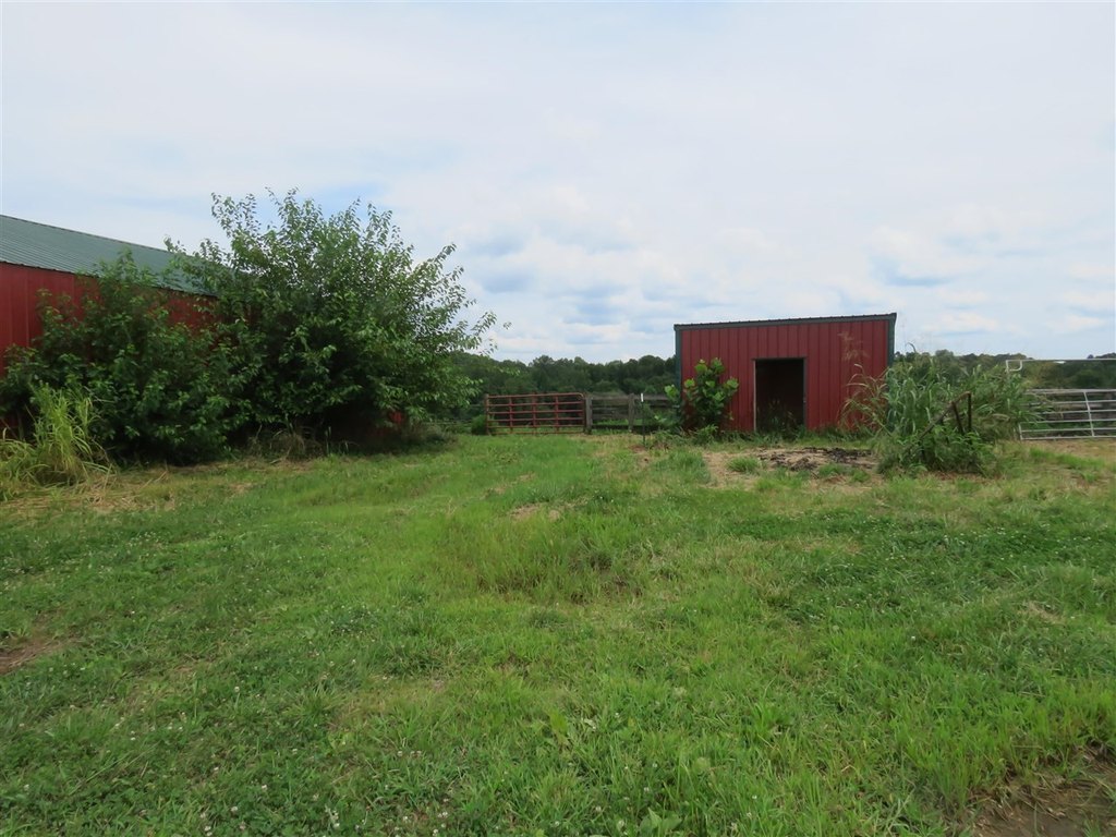 Picture 30