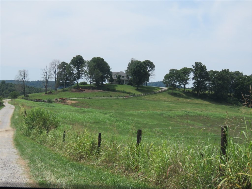 Picture 4