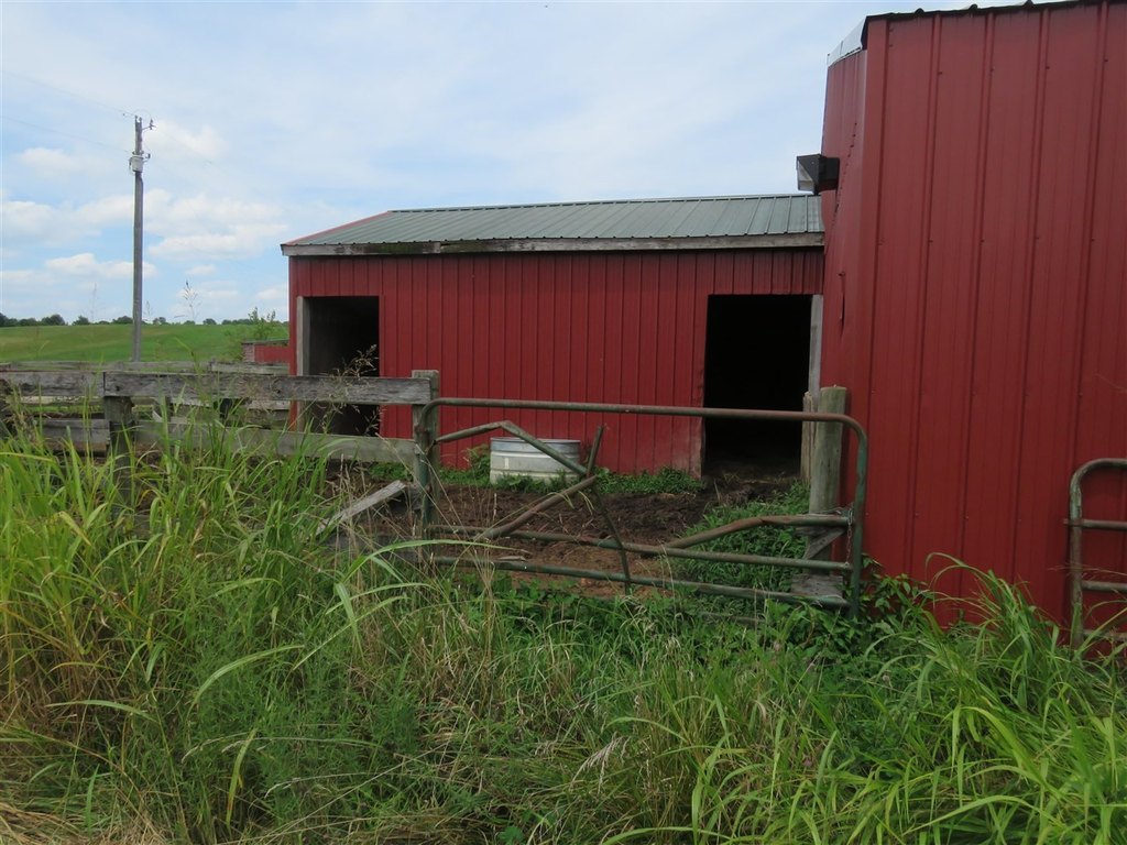 Picture 31