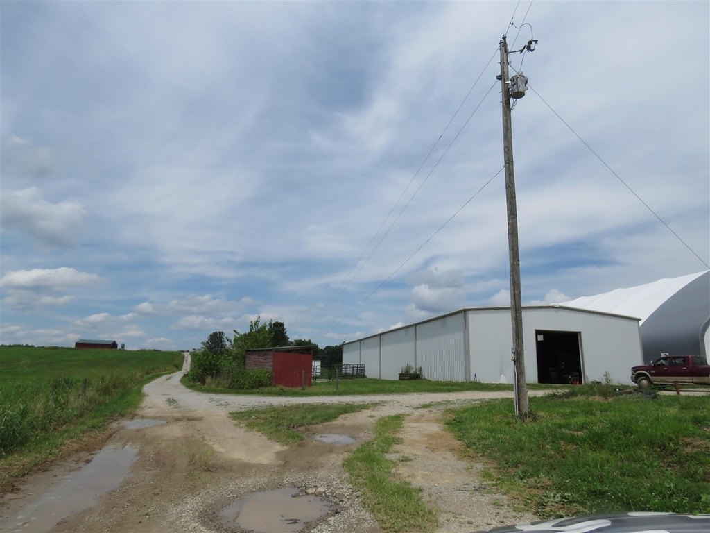 Picture 21
