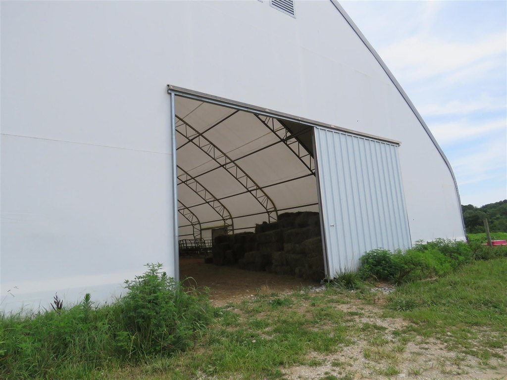 Picture 45